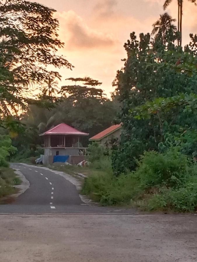 Rumah Nalu Surf Camp Krui المظهر الخارجي الصورة