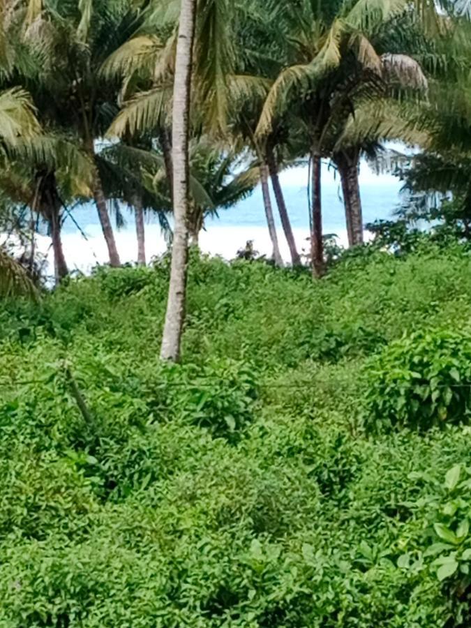 Rumah Nalu Surf Camp Krui المظهر الخارجي الصورة