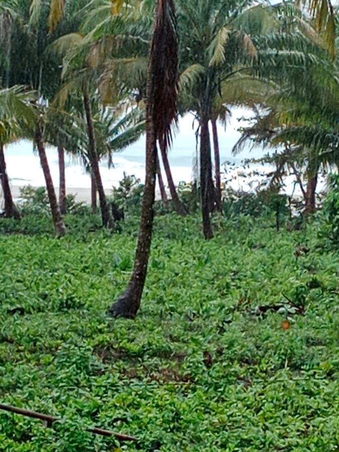 Rumah Nalu Surf Camp Krui المظهر الخارجي الصورة